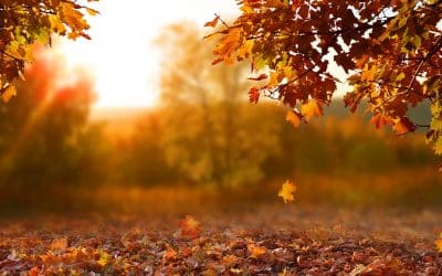 Thankfulness (a very personal blog)